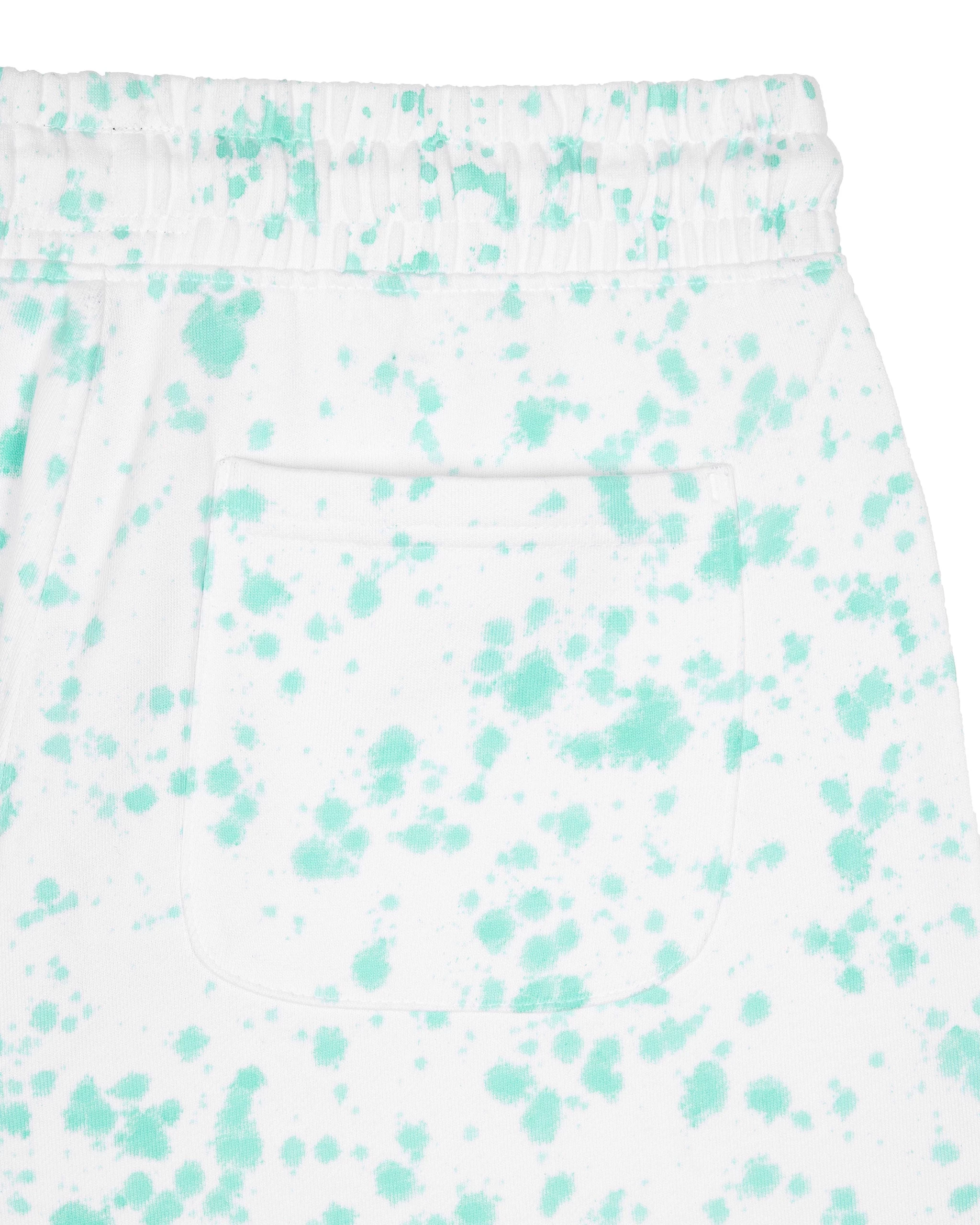 Weekend Offender Granados Tie Dye Shorts Aqua 6 Weekend Offender Granados Tie Dye Shorts Aqua - Image 6