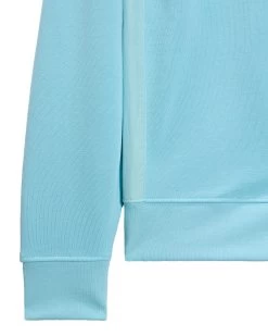Weekend Offender F Bomb Sweatshirt Saltwater Blue -Fashion sportswear SWSS2401 FBOMB SALTWATER 5564